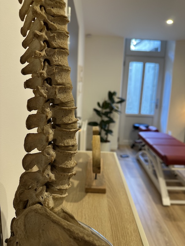 cabinet-chiropractrice-gaillac-albi